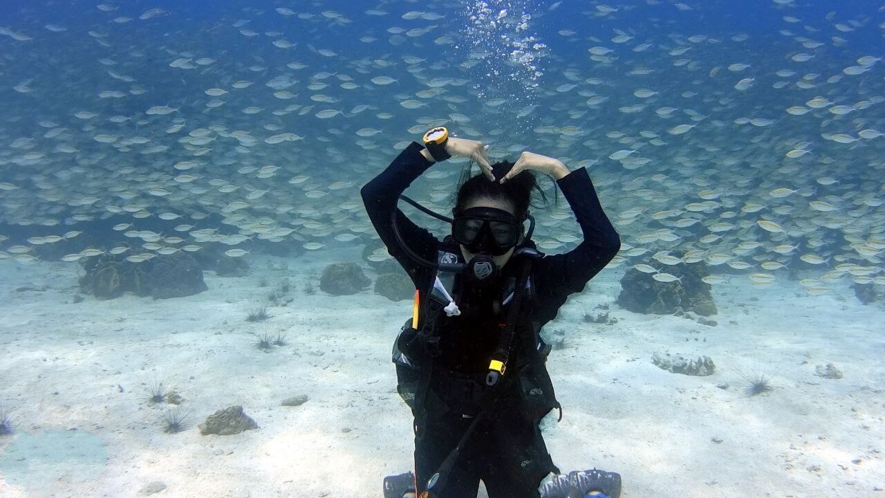 Fun diver making a heart shape with fish