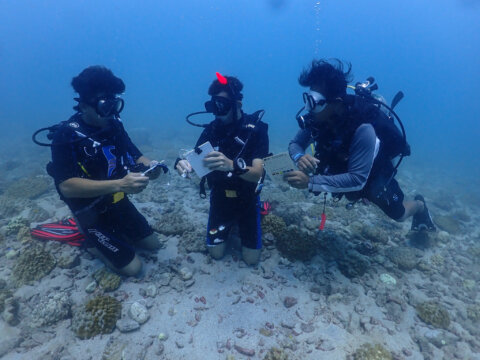 PADI Courses