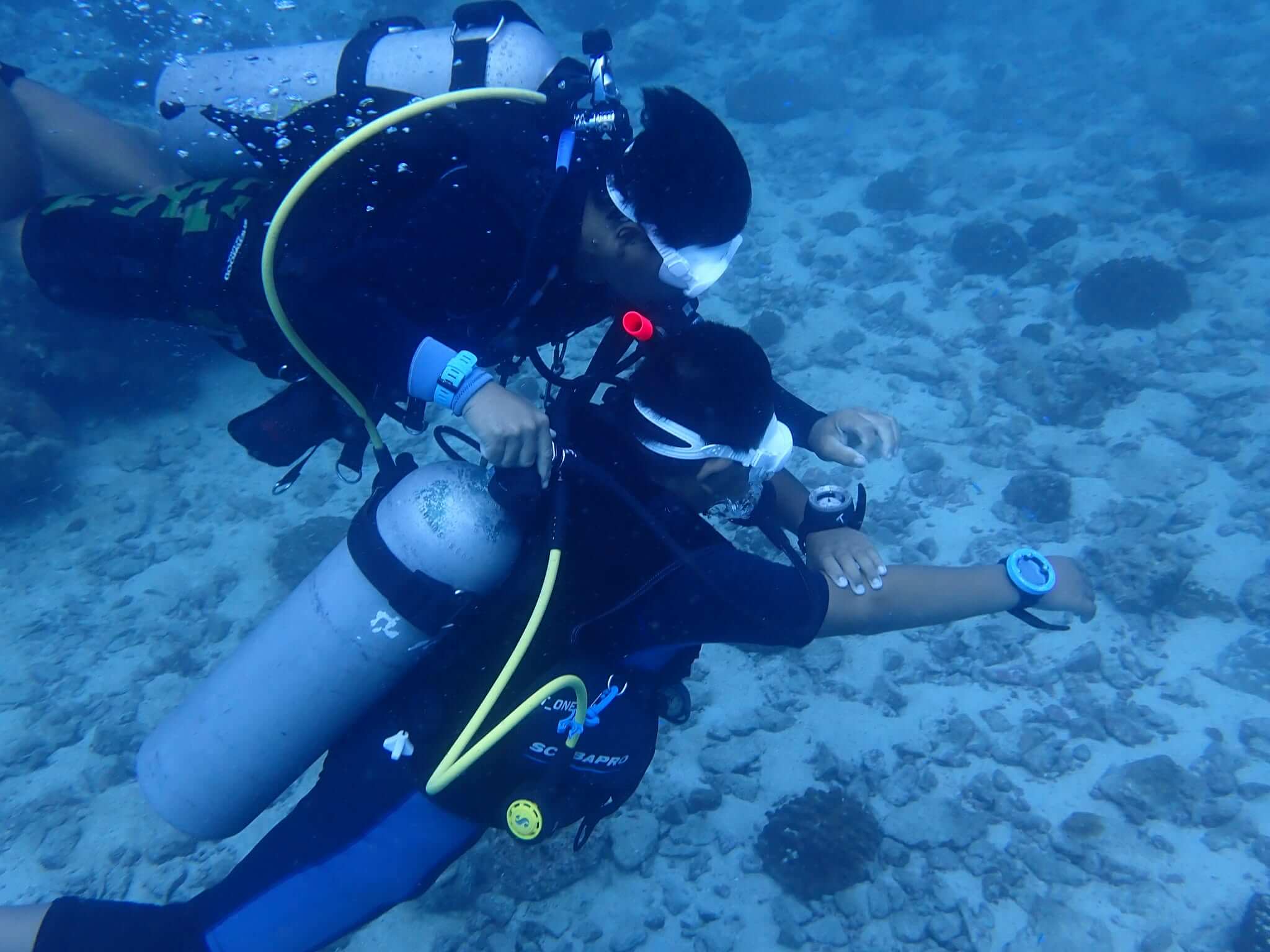 PADI Open Water